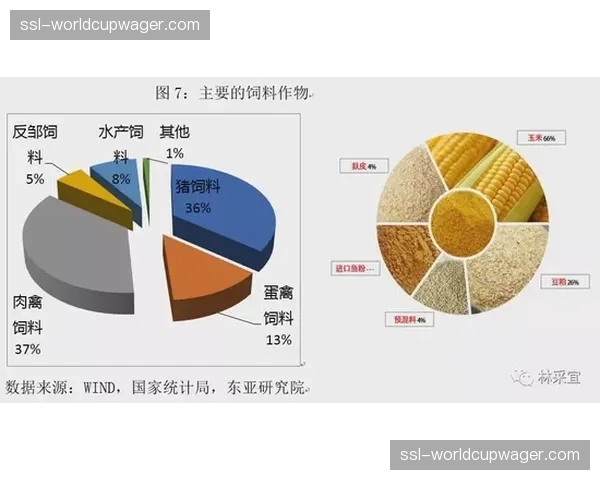 去中心化存储架构于本季度普及 构筑海量视听素材的高安全防护屏障