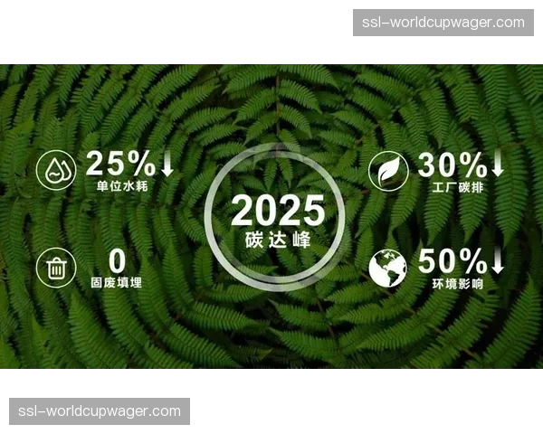 调查报道：欧洲足球俱乐部在可持续运营与球场减碳方面的实践与挑战。